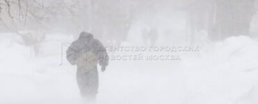 МЧС: Сильный снегопад продлится в Подмосковье до конца суток