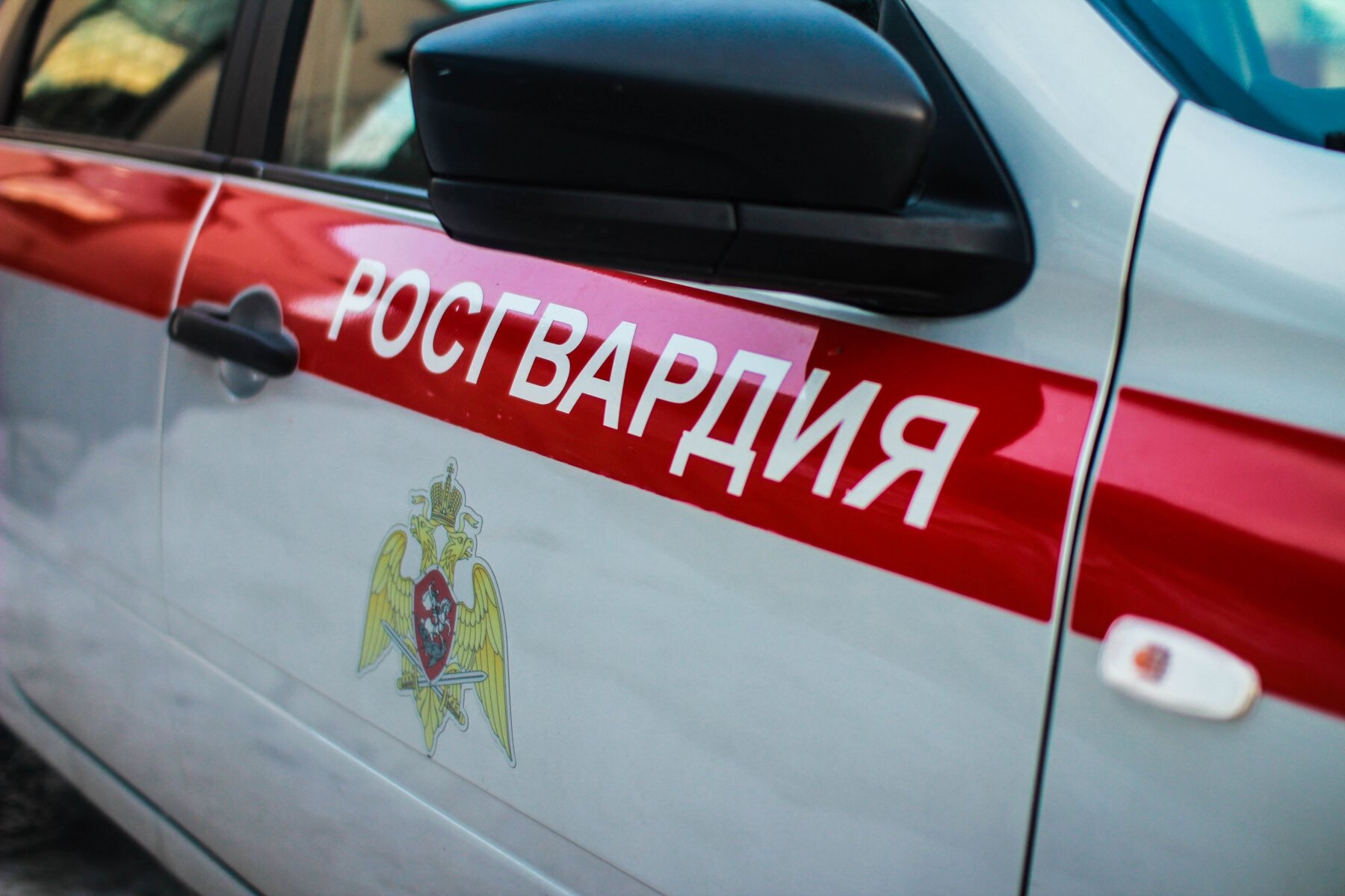 Политолог: охранять школу Росгвардией - неразумно