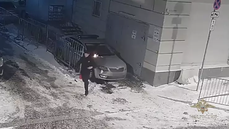 В Москве юноши пытались поджечь полицейские авто по заданию зарубежных кураторов
