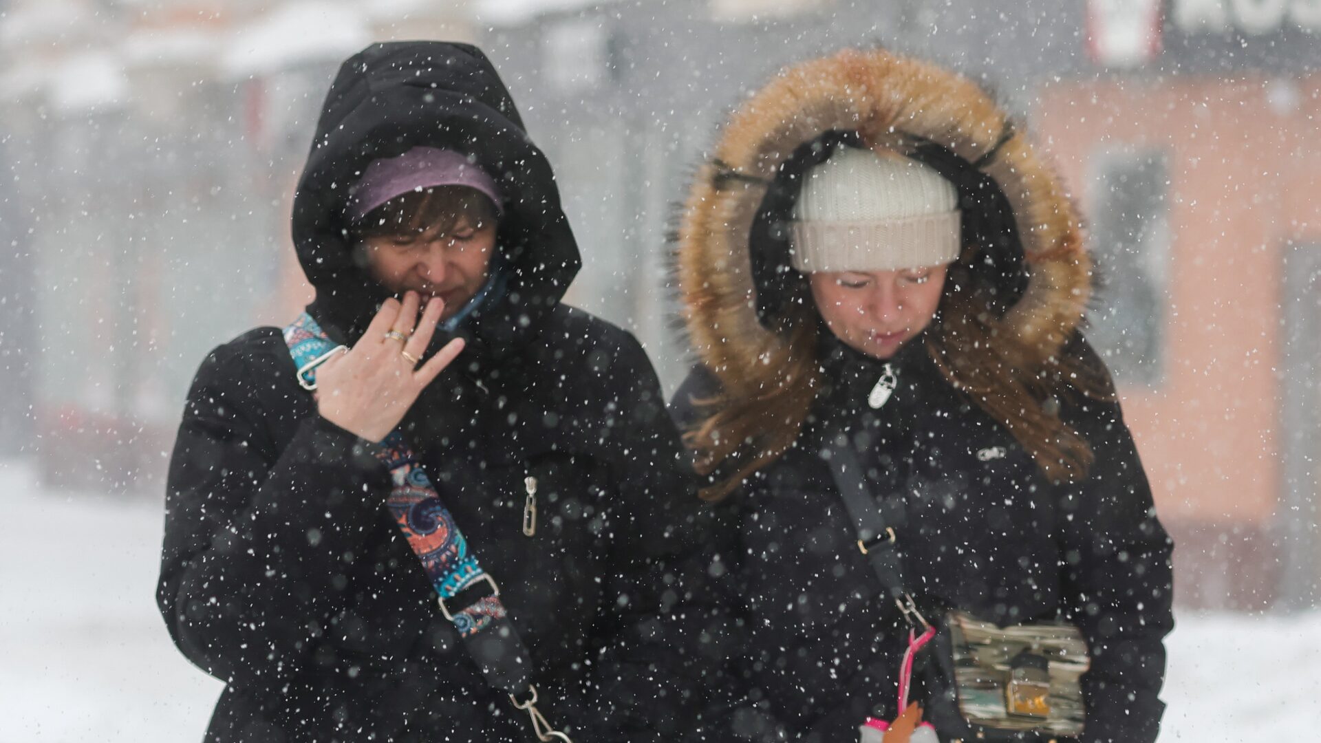 В Москву и Подмосковье 13 февраля придет первая с начала года оттепель