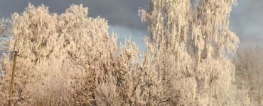 В Подмосковье ожидается до 6 градусов мороза