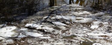 Лед в Подмосковье начал активно таять