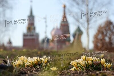Погода в столичном регионе