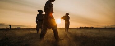 Церемония вручения премии «Ника» будет доступна онлайн