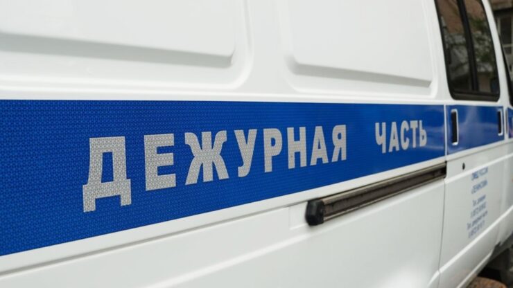В Москве сотрудники Росгвардии задержали женщину в розыске за неуплату алиментов