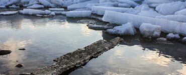 В Подмосковье ожидается до 14 градусов тепла