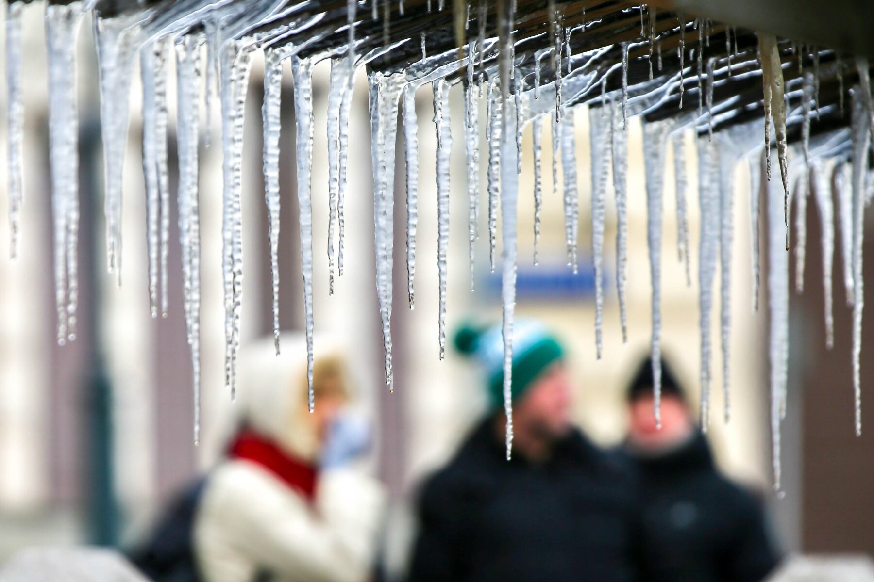 Потепление в Подмосковье
