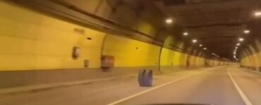В тоннеле на Новорижском шоссе заметили колесо, катящееся отдельно от грузовика