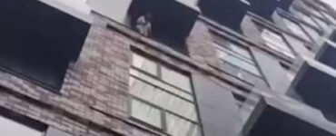Из-за нервного срыва москвичка выбросила из окна 7 этажа собаку