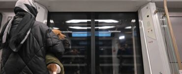 Кинолог Голубев: На собак в общественном транспорте следует надевать бахилы