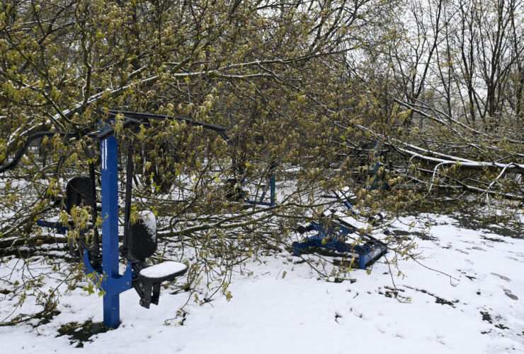 МЧС: Из-за ветра и снега в Московской области упало более 1300 деревьев