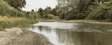 Паводок в Ступино остается в пределах нормы