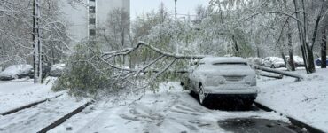С дорог Подмосковья убирают упавшие деревья