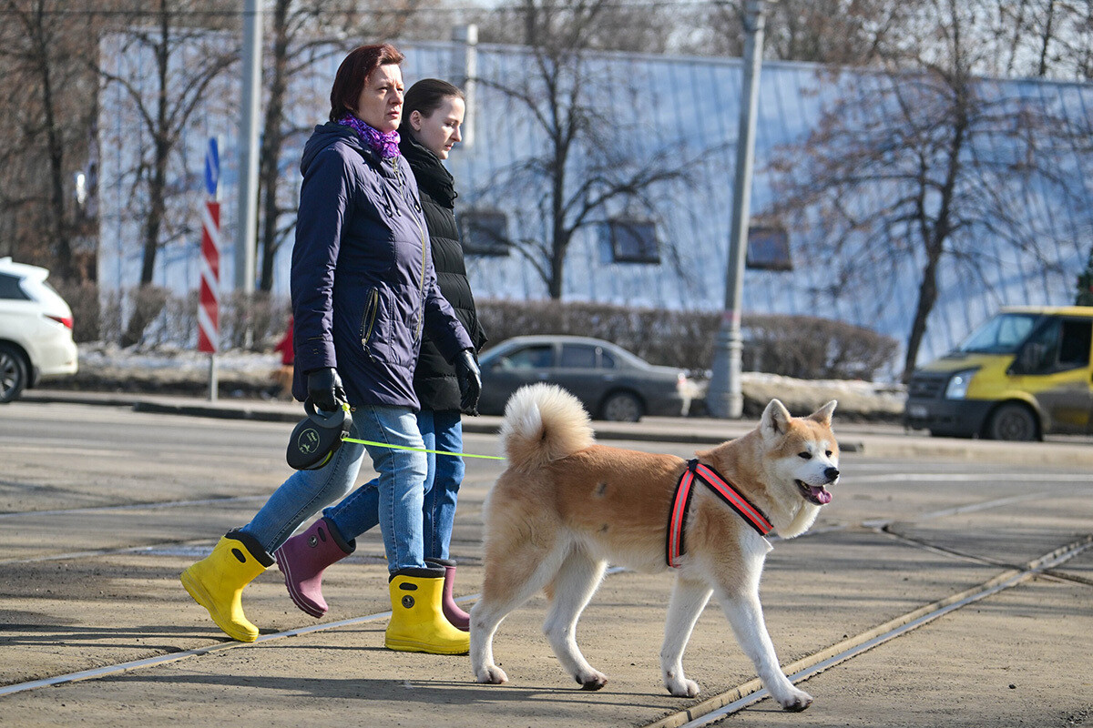 Прогноз погоды в Москве