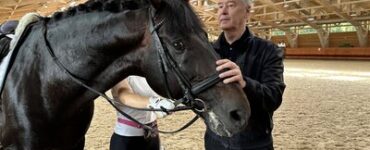 Собянин: Конноспортивный комплекс включен в список приоритетных инвестпроектов