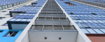 В Московской области 20 котов заперли свою 90-летнюю хозяйку на балконе