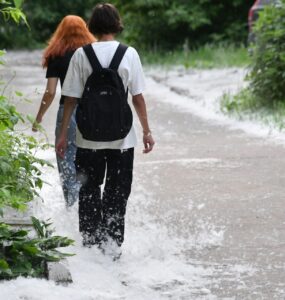 Эксперт Безбородов: Тополь испаряет до 300 литров воды в сутки