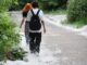 Эксперт Безбородов: Тополь испаряет до 300 литров воды в сутки