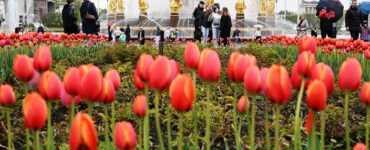 Гидрометцентр: В Москве 3 мая ожидается облачность и до плюс 21 градуса