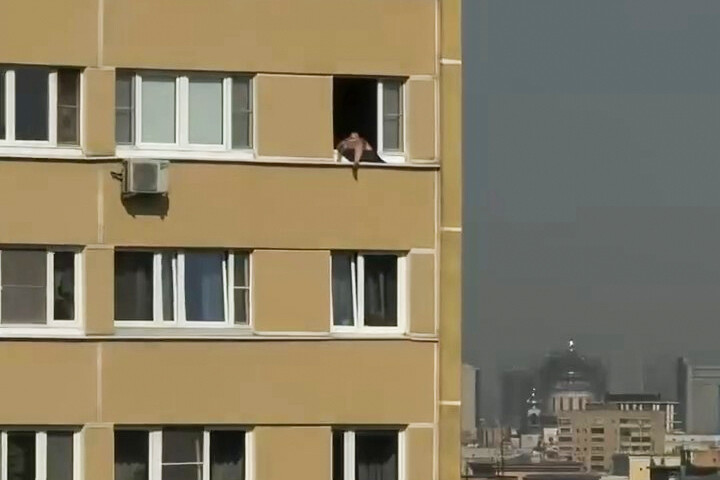 Москвич загорает на окне квартиры