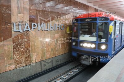 Режим работы южного вестибюля станции метро «Царицыно» изменится с 21 мая