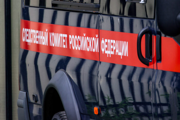 СК: В Подмосковье задержали напавшего с ножом на 7-летнюю девочку