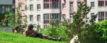 Синоптики не исключили установления 30-градусной жары на юге Подмосковья