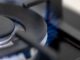 Сколько Европе нужно коров, чтобы заменить газ из России?