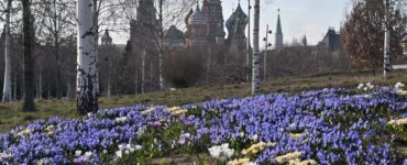 Собянин: Для школьников 5-7 классов вводится новый курс по истории Москвы