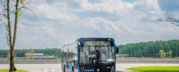 Добраться до кинопарка «Москино» можно на бесплатных авотбусах