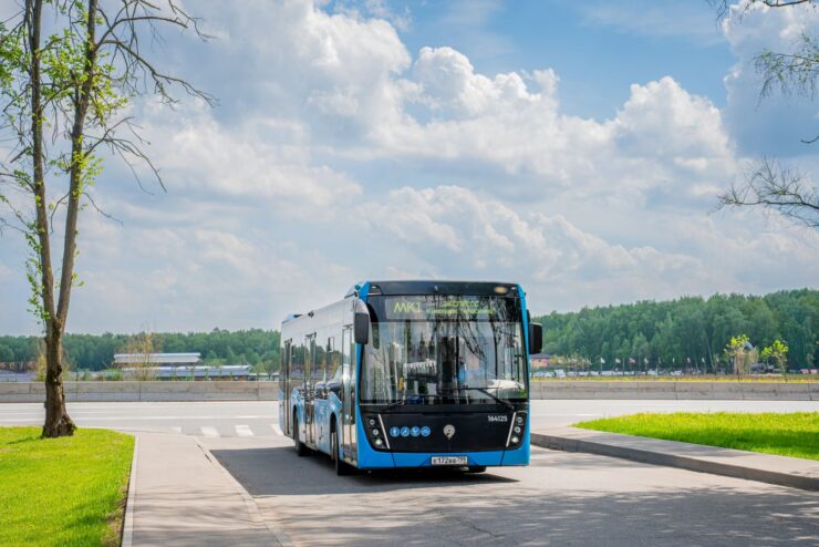 Добраться до кинопарка «Москино» можно на бесплатных авотбусах