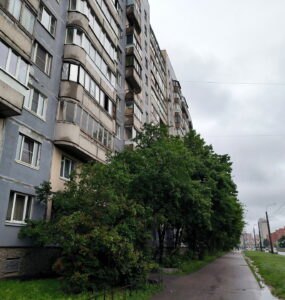 Гидрометцентр: Небольшой дождь и облачность придут в Москву в субботу