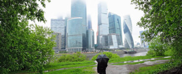 Городские службы попросили москвичей не укрываться под деревьями в непогоду 19 июня