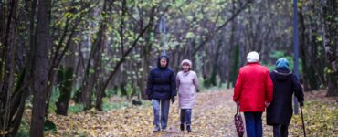 МВД: в Москве люди в возрасте 65+ часто становятся жертвами мошенничества