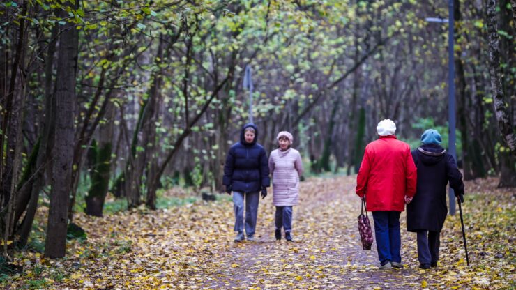МВД: в Москве люди в возрасте 65+ часто становятся жертвами мошенничества