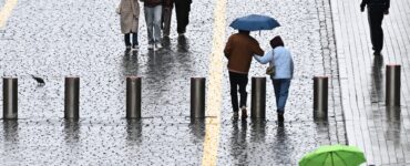 Метеоролог Локощенко: В Москве выпало вдвое меньше нормы осадков в мае