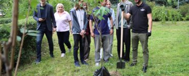 Одиннадцатиклассники Бабушкинского района высадили сакуру на аллее выпускников  фото