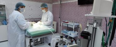 В Москве кошка выпала с 12-го этажа и выжила, ее прооперировали