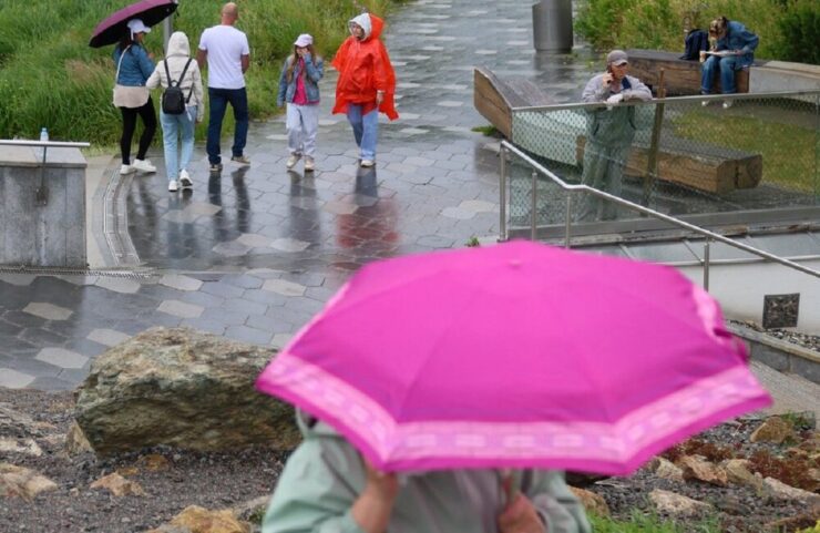 В Подмосковье будет до плюс 26 градусов