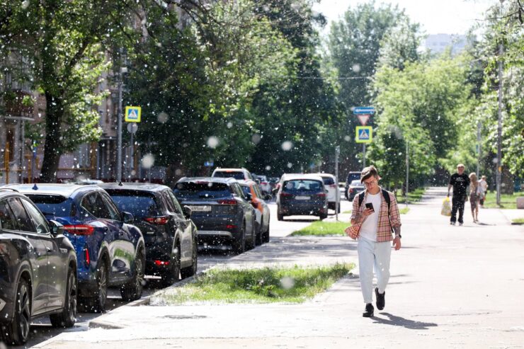В Подмосковье ожидается до 25 градусов тепла