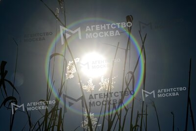 «Желтый» уровень опасности из-за риска пожаров объявлен в Москве до субботы