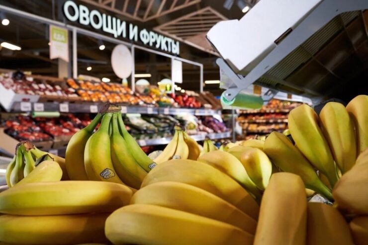 Почти треть продаж сети «Пятерочка» приходится на собственные бренды