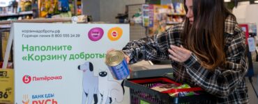 «Пятёрочка» увеличила на 25% объём помощи бездомным животным за первые 6 месяцев 2026 года