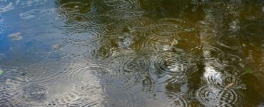 Тонувшего на Терлецком пруду мужчину подняли из воды и оказали ему первую помощь