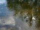 Тонувшего на Терлецком пруду мужчину подняли из воды и оказали ему первую помощь
