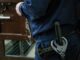 В Подмосковье заключили под стражу москвича, выращивающего коноплю на даче
