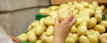 В Солнечногорске за 500 млн рублей построят комплекс для хранения и переработки овощей