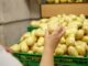 В Солнечногорске за 500 млн рублей построят комплекс для хранения и переработки овощей