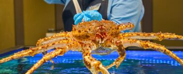 Живых камчатских крабов привезли на рыбные рынки «Москва — на волне»