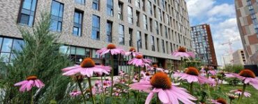 Эксперт: Новый стандарт озеленения не приведет к удорожанию жилья в новостройках